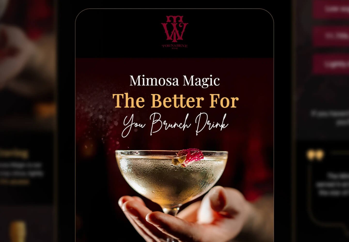 Abhishek Jain Designs